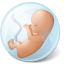 Body-Embryo icon