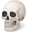 Body-Skull icon