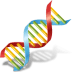 Body-DNA icon