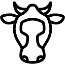Animals-Cow icon