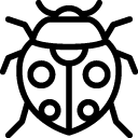Animals Insect icon
