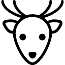 Holidays-Christmas-Deer icon