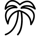 Plants Palm icon