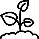 Plants Sproud icon