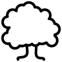 Plants-Tree icon
