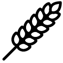 Plants-Wheat icon