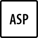 Programming-Asp icon