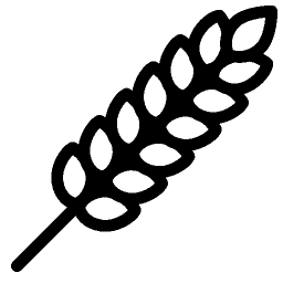 Plants Wheat icon