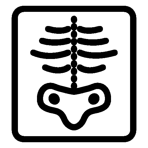 Healthcare-Xray icon