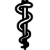 Healthcare-Rod-Of-Asclepius icon
