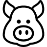 Astrology-Year-Of-Pig icon
