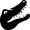 Animals Alligator icon