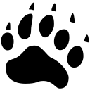 Animals Bear Track icon