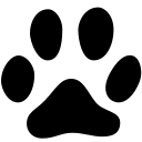 Animals-Cat-Track icon