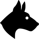 Animals Dog icon