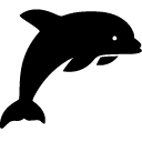 Animals Dolphin icon