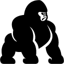 Animals Gorilla icon