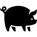 Animals Pig 2 icon