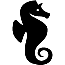 Animals Seahorse icon