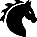 Astrology Year Of Horse icon