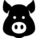 Astrology Year Of Pig icon