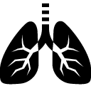 Healthcare Lungs icon