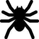 Holidays-Spider icon