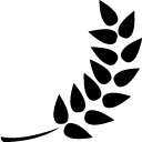 Plants-Barley icon