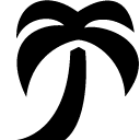 Plants Palm Tree icon