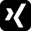 Social-Networks-Xing icon