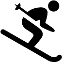 Sports Skiing icon