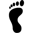 Travel Left Footprint icon