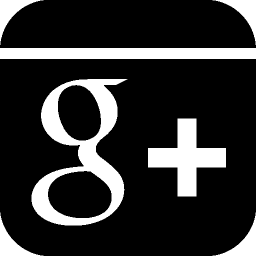 Social Networks Google Plus icon