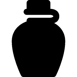 Travel Water Bottle icon