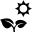 Diy-Plant-Under-Sun icon