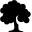 Plants Deciduous Tree icon