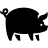 Animals-Pig-2 icon