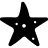 Animals-Starfish icon