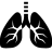 Healthcare-Lungs icon