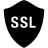 Security Security Ssl icon