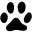 Animals Cat Track icon