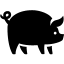 Animals Pig 2 icon