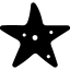 Animals Starfish icon