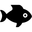 Food Fish icon