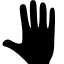 Hands Whole Hand icon