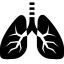 Healthcare Lungs icon