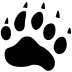 Animals-Bear-Track icon