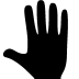 Hands-Whole-Hand icon