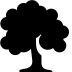 Plants-Deciduous-Tree icon