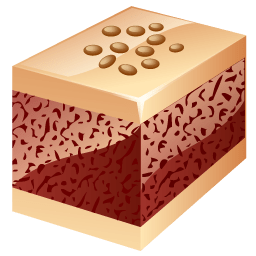 Nuts cake icon
